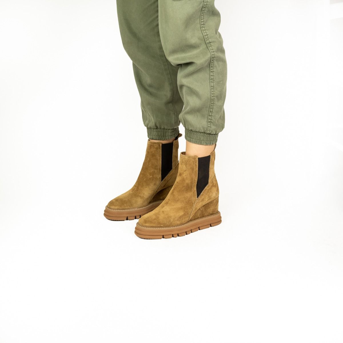 Alpe  2591 - camel