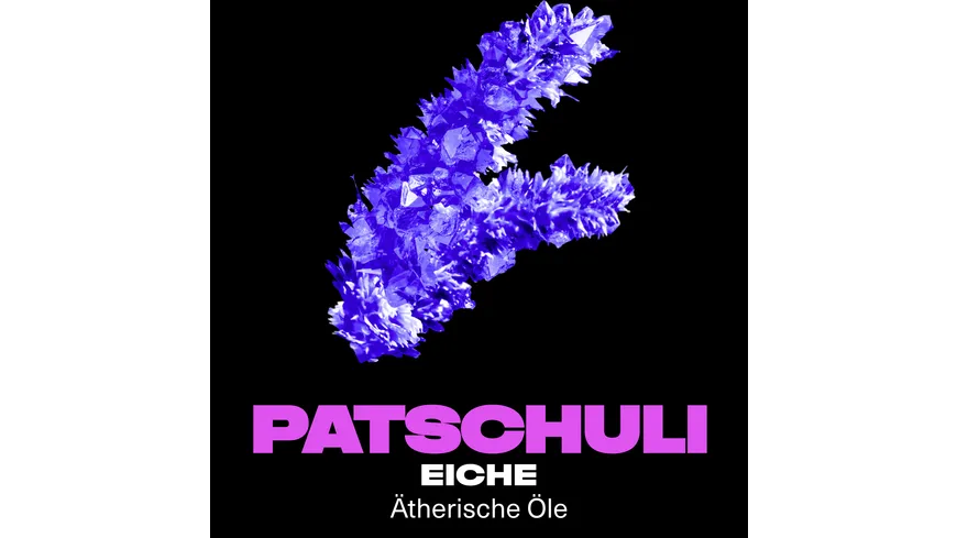 AXE Premium Duschgel Purple Patchouli 300 ml