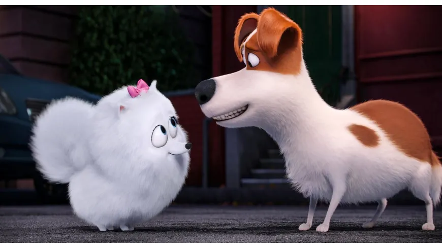 Pets (Illumination)