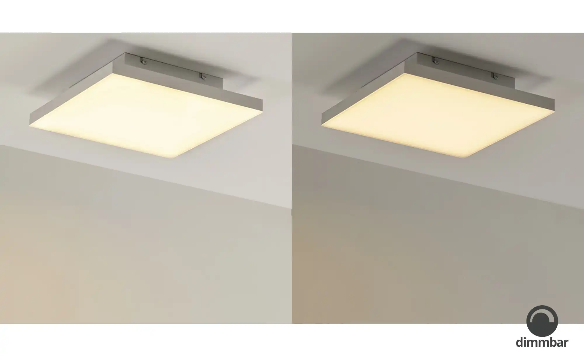 Paul Neuhaus LED-Deckenleuchte weiß