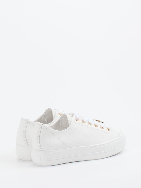Sneaker-16637990328 Paul Green