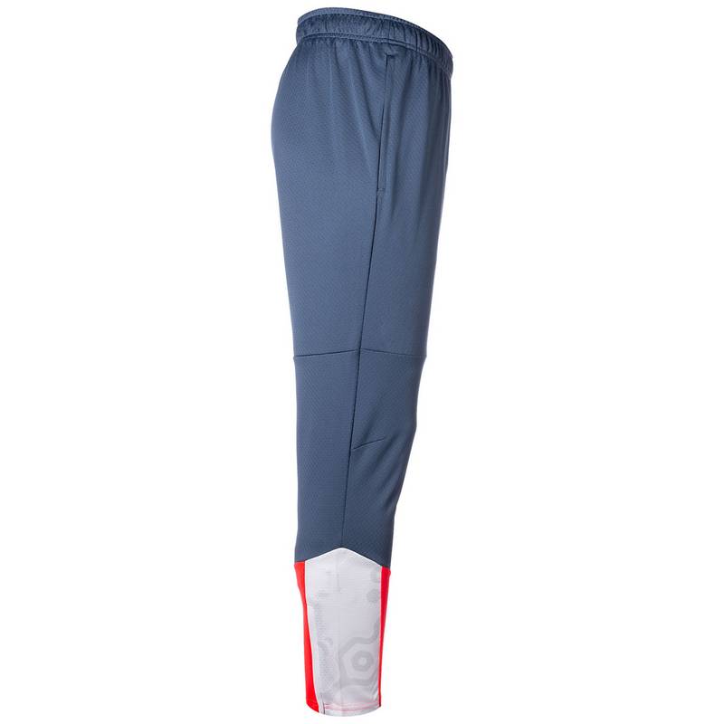 PUMA IndividualCUP Trainingshose Herren