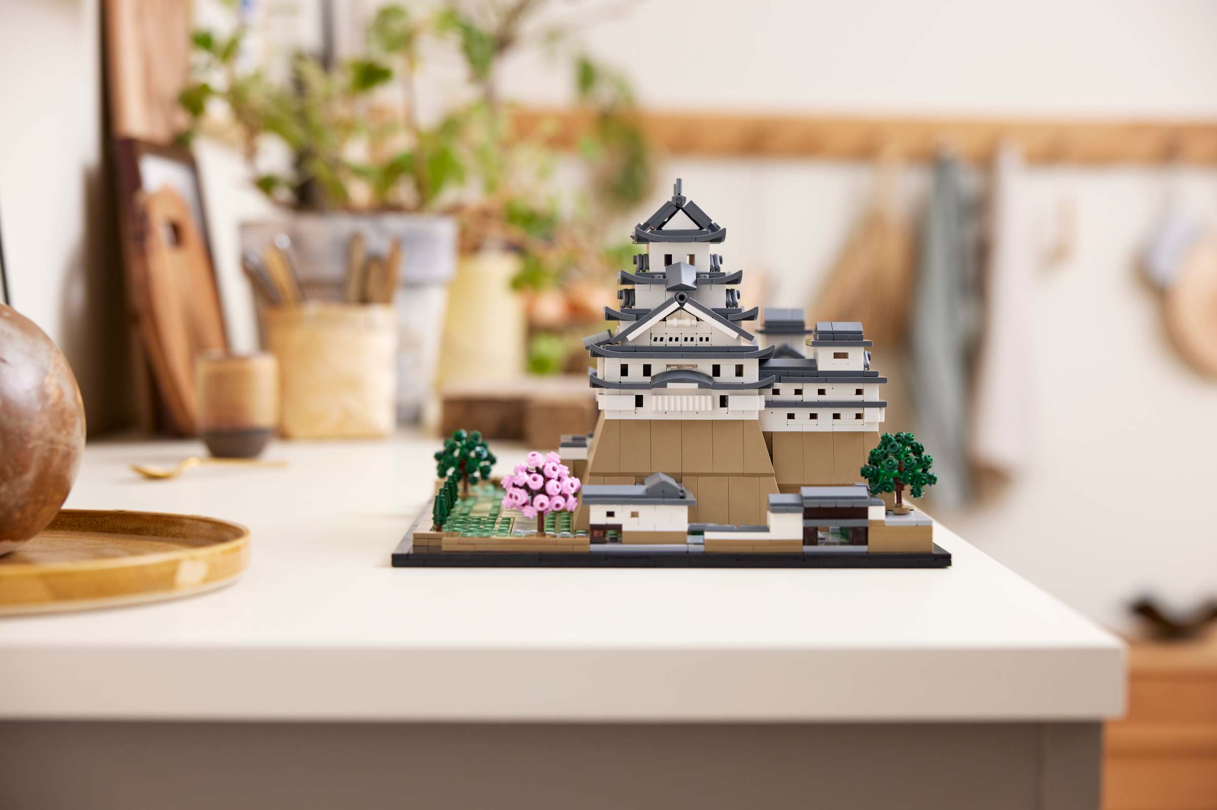 Burg Himeji 21060