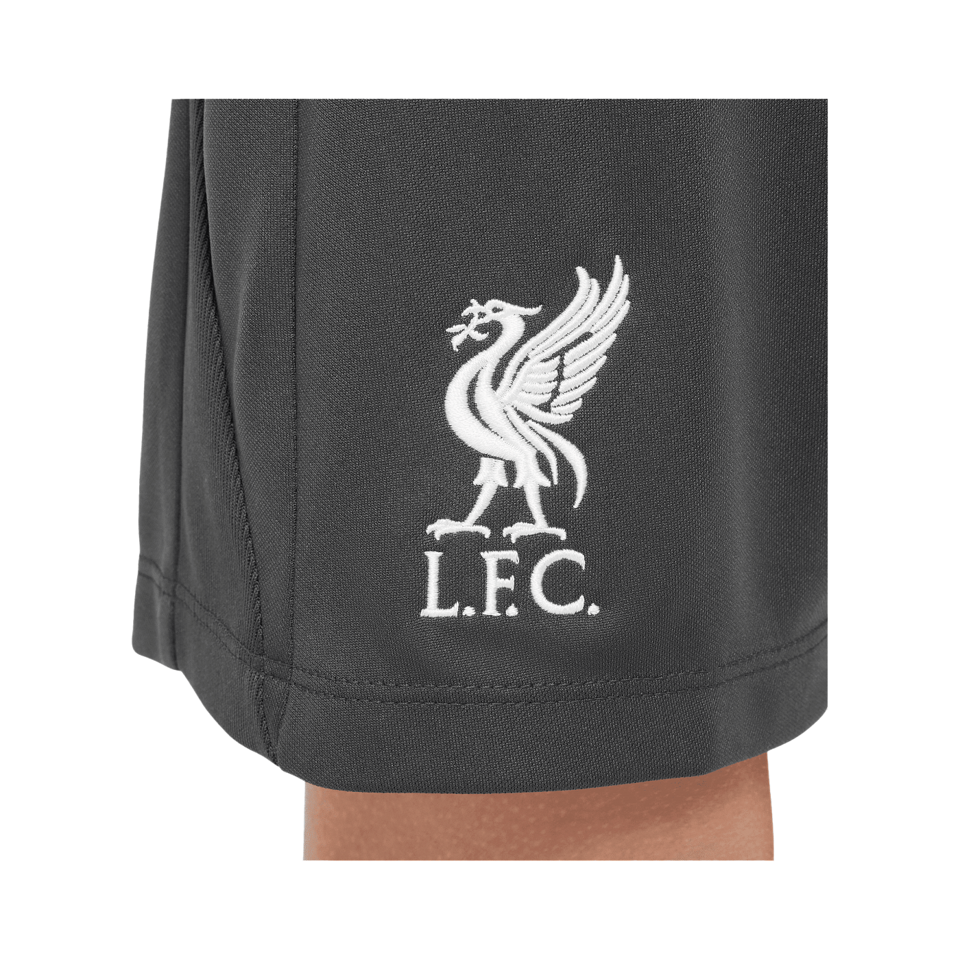 Nike FC Liverpool Academy Short Kids Grau F060