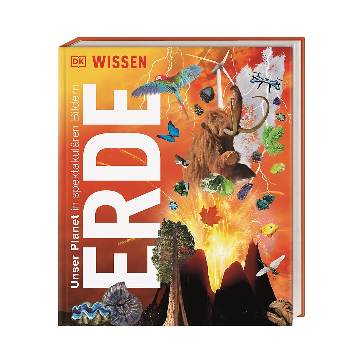 DK Wissen. Erde