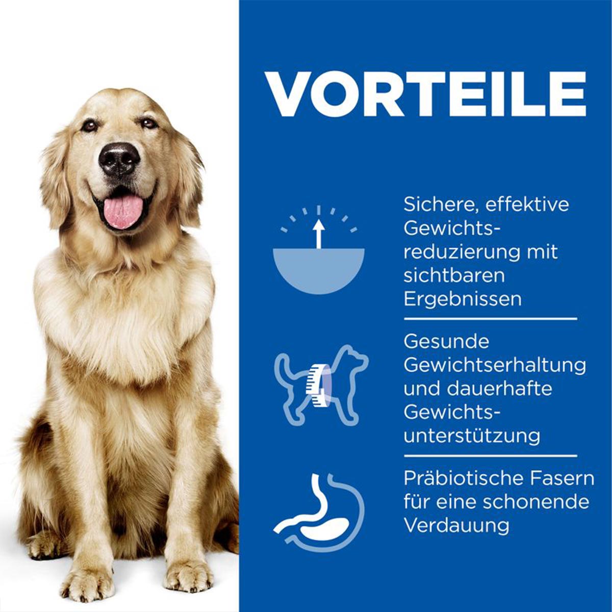 Hill's Science Plan Hund Perfect Weight Large Breed Adult Huhn 12kg