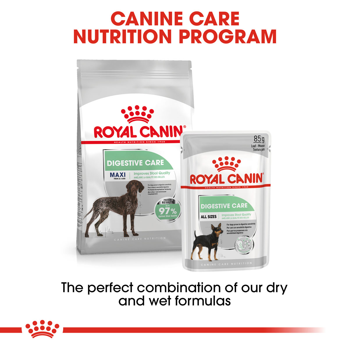 ROYAL CANIN DIGESTIVE CARE MAXI Trockenfutter für große Hunde mit empfindlicher Verdauung