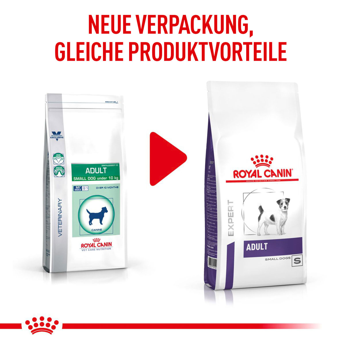 ROYAL CANIN Expert ADULT SMALL DOGS Trockenfutter für Hunde