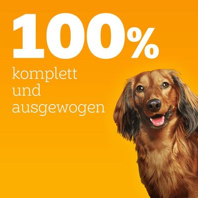 Pedigree Senior Frischebeutel Multipack Nassfutter für Hunde