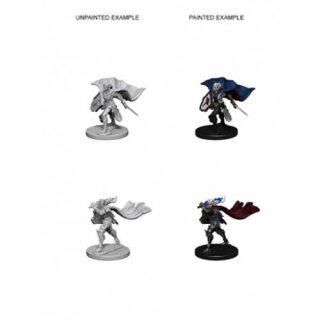 Elf Female Paladin: Pathfinder Deep Cuts Unpainted Minis