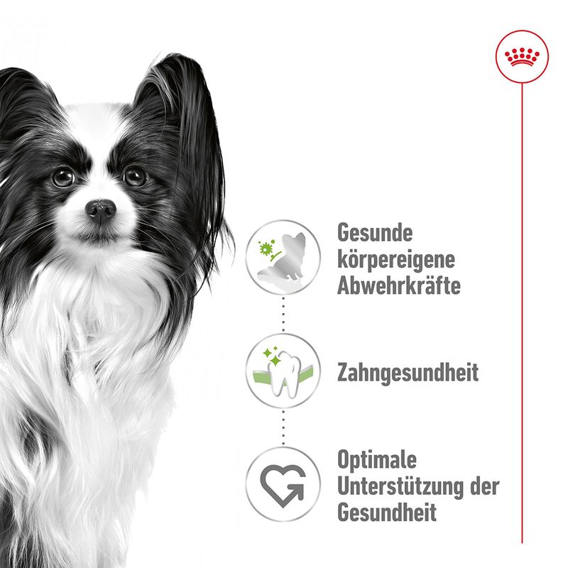 Royal Canin X-Small Adult zu TOP-Preisen