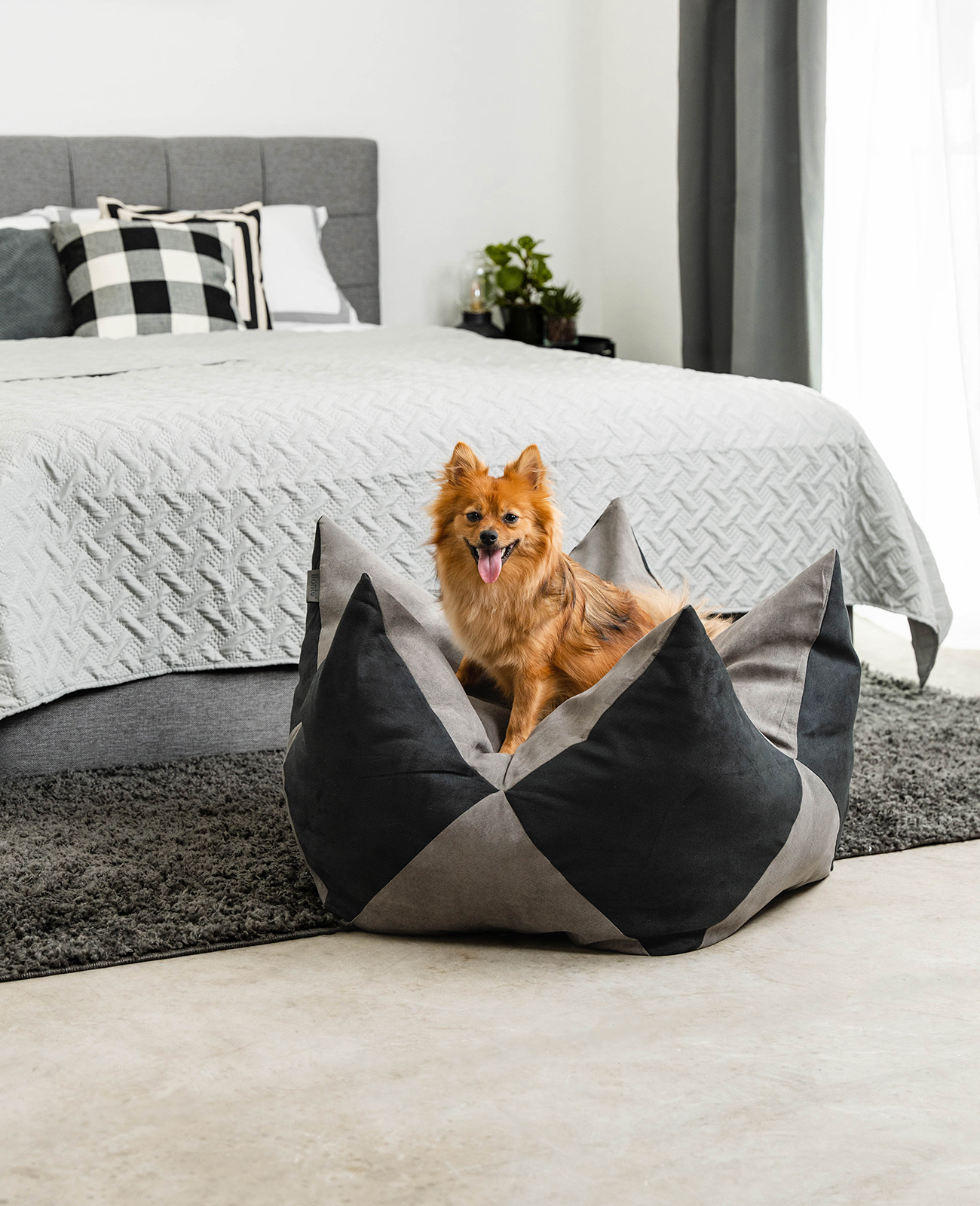 Lionto Hundebetten Lionto Hundebett - Kronenkissen grau/ schwarz L