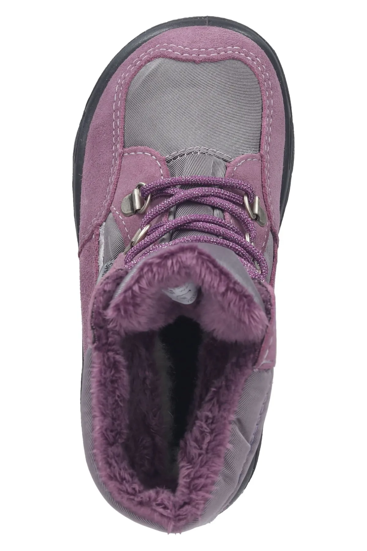 pepino  Stiefelette - Lila - Flacher Absatz