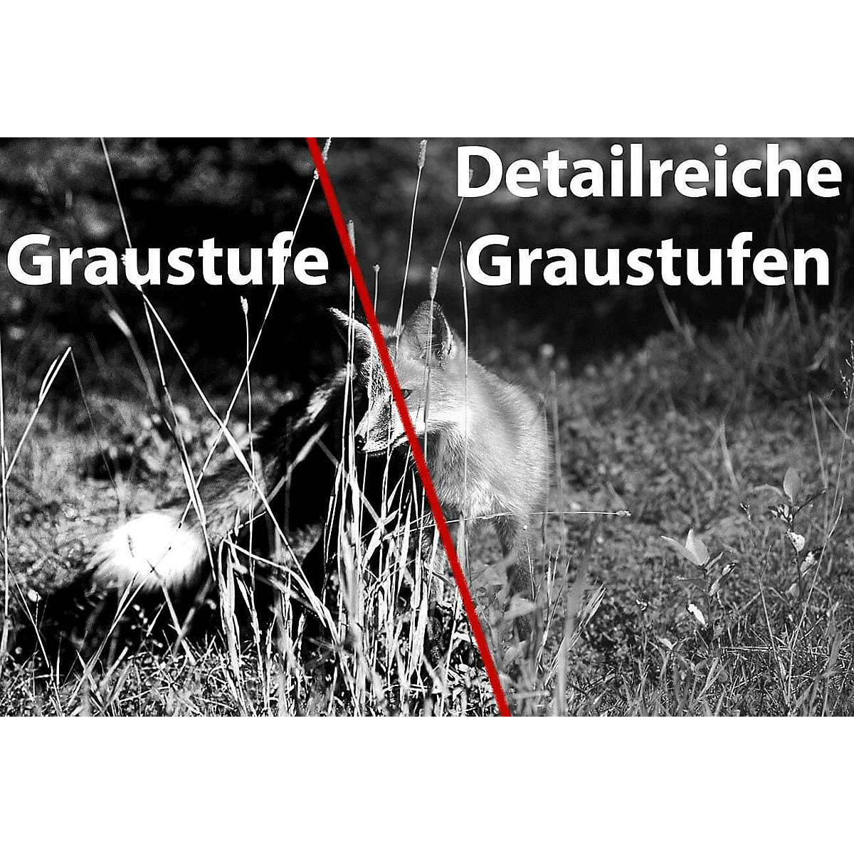 Nachtsicht Fernglas DN-800 V2