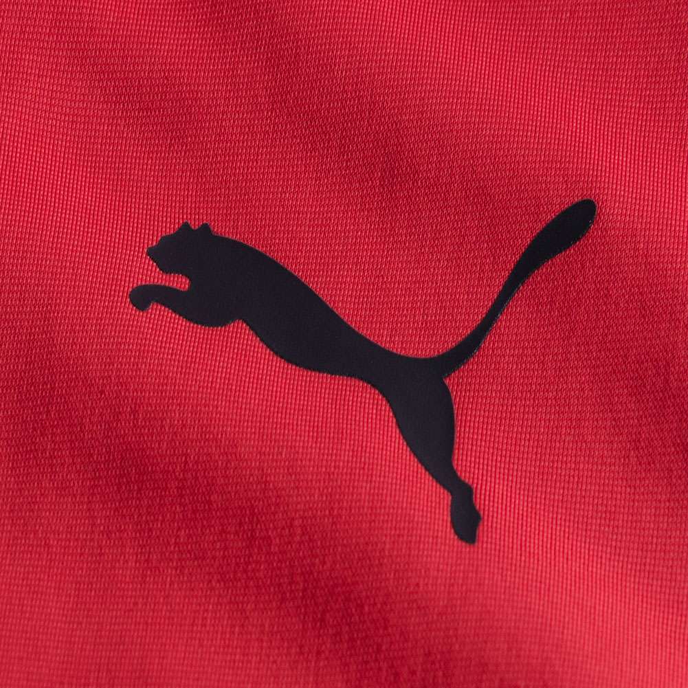 PUMA TECHStripe Suit Herren Trainingsanzug 851551-12
