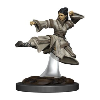 D&D Icons of the Realms Premium Miniatur vorbemalt Human Monk Female