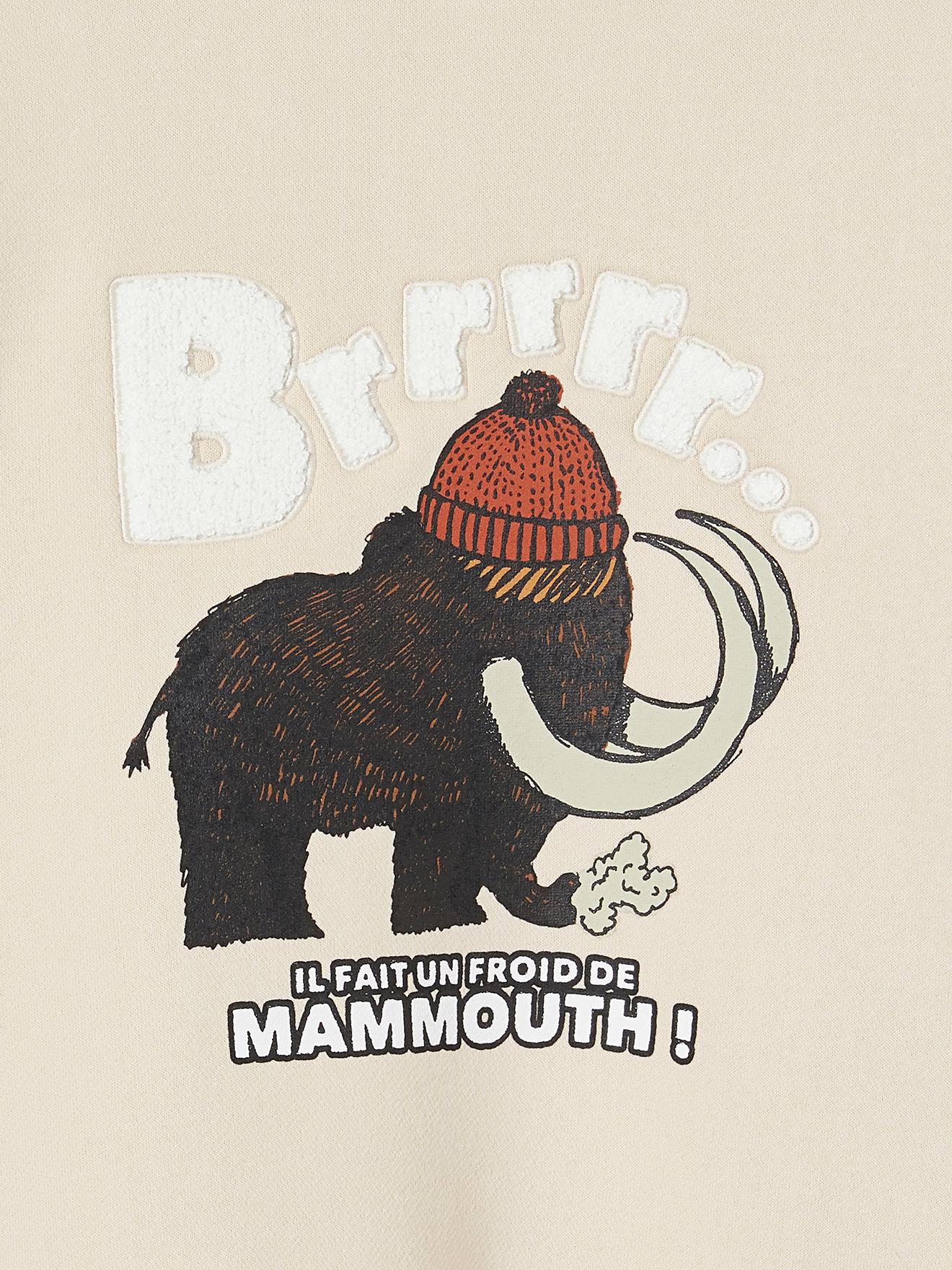 Sweat motif mammouth détails en bouclettes garçon beige