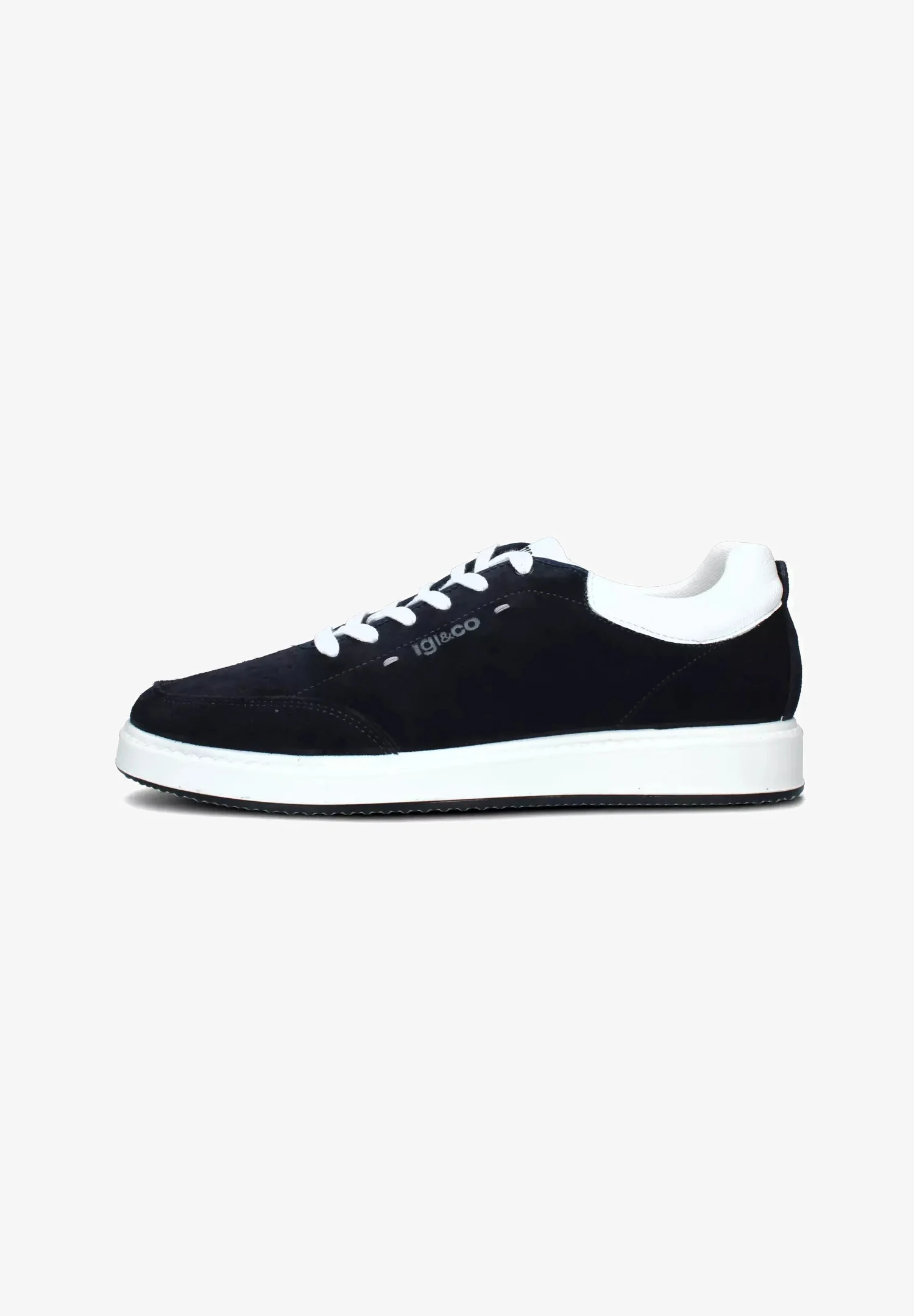IGI&CO BASSE - Zapatillas bajas