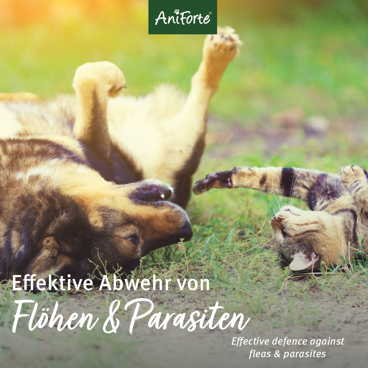 Aniforte Floh- & Zeckenmittel Aniforte Floh Ex Spray 250 ml
