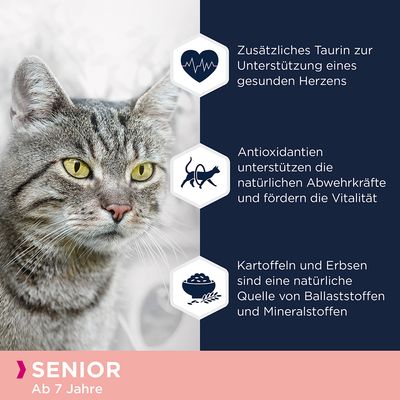 Eukanuba Senior Grain Free Reich an Lachs