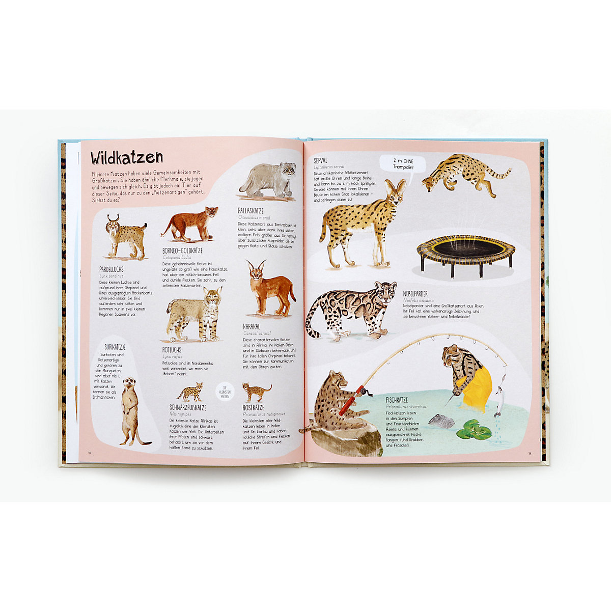 Das Katzen-Buch