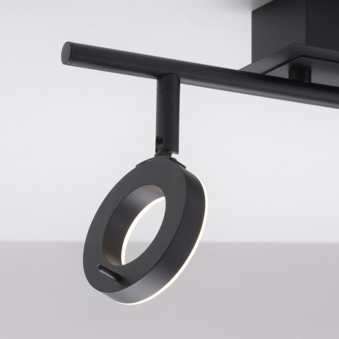 Paul Neuhaus 2-flg LED Deckenleuchte Sileda Anthrazit
