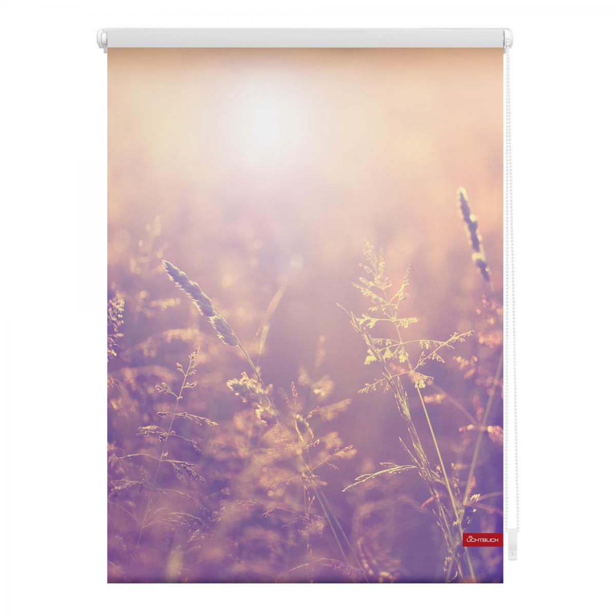 Lichtblick Rollo Klemmfix, ohne Bohren, blickdicht, Sommerabend - Orange, 100 x 150 cm (B x L)
