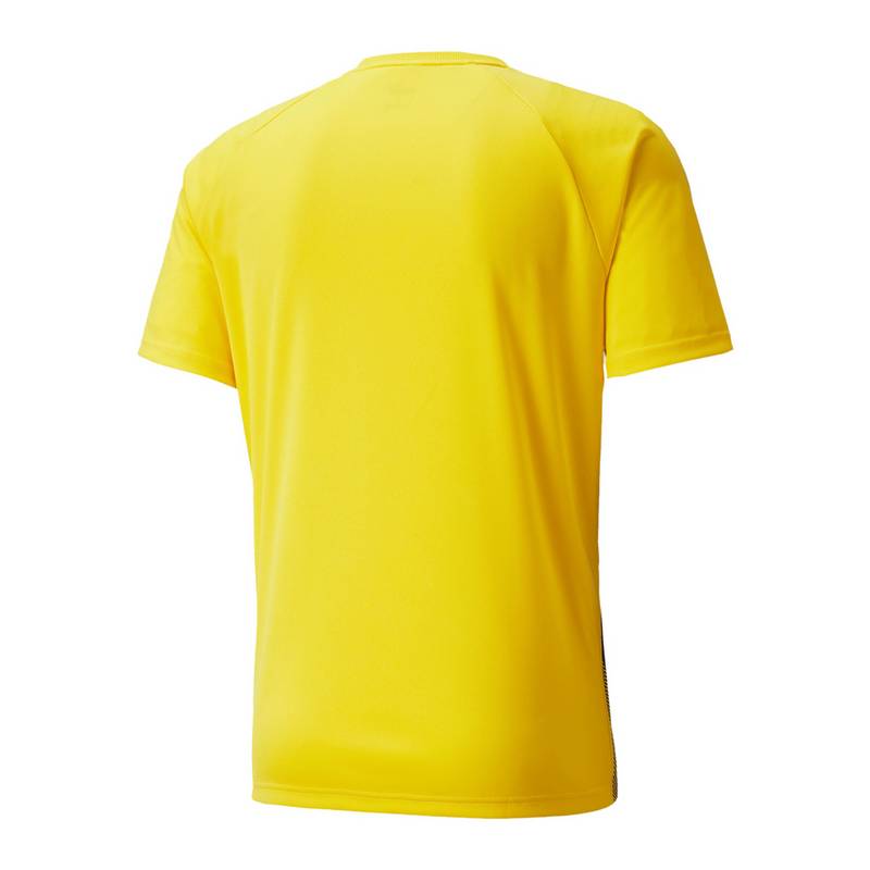 PUMA teamLIGA Striped Trikot Trikot Herren