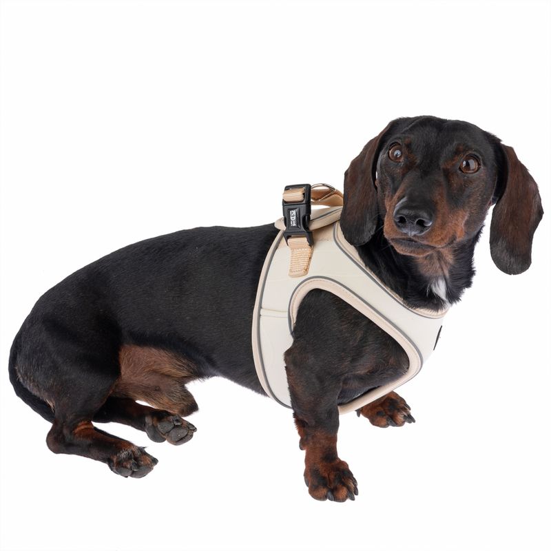 TIAKI Geschirr Wave Vest, beige zu TOP-Preisen