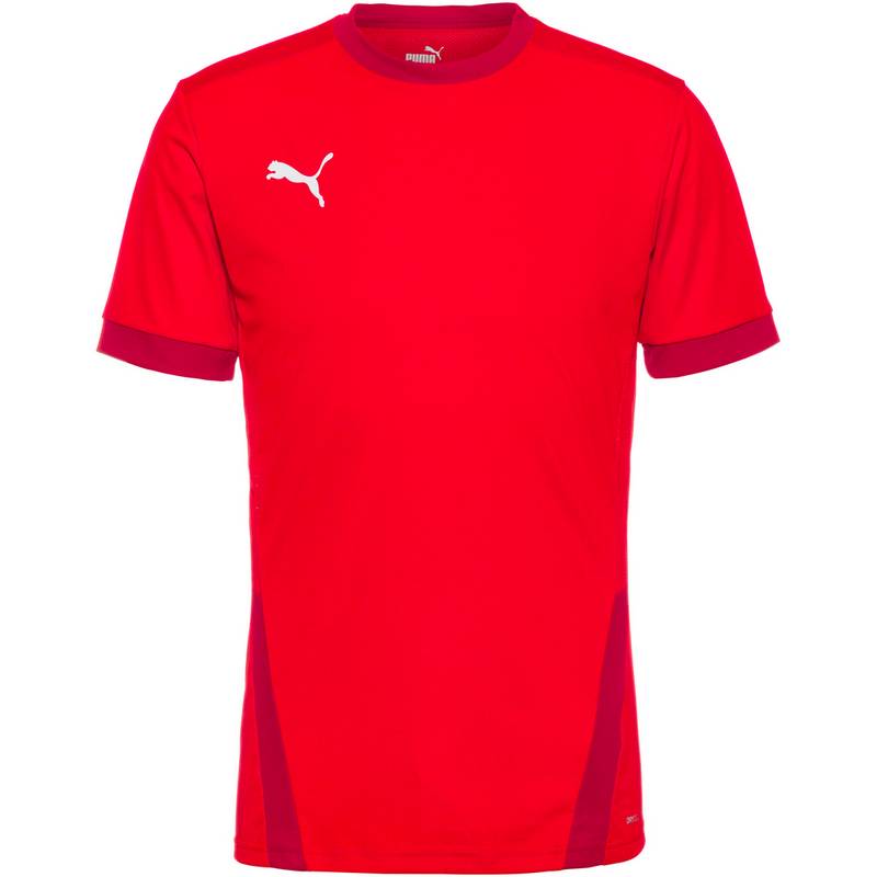 PUMA teamGOAL 23 Funktionsshirt Herren