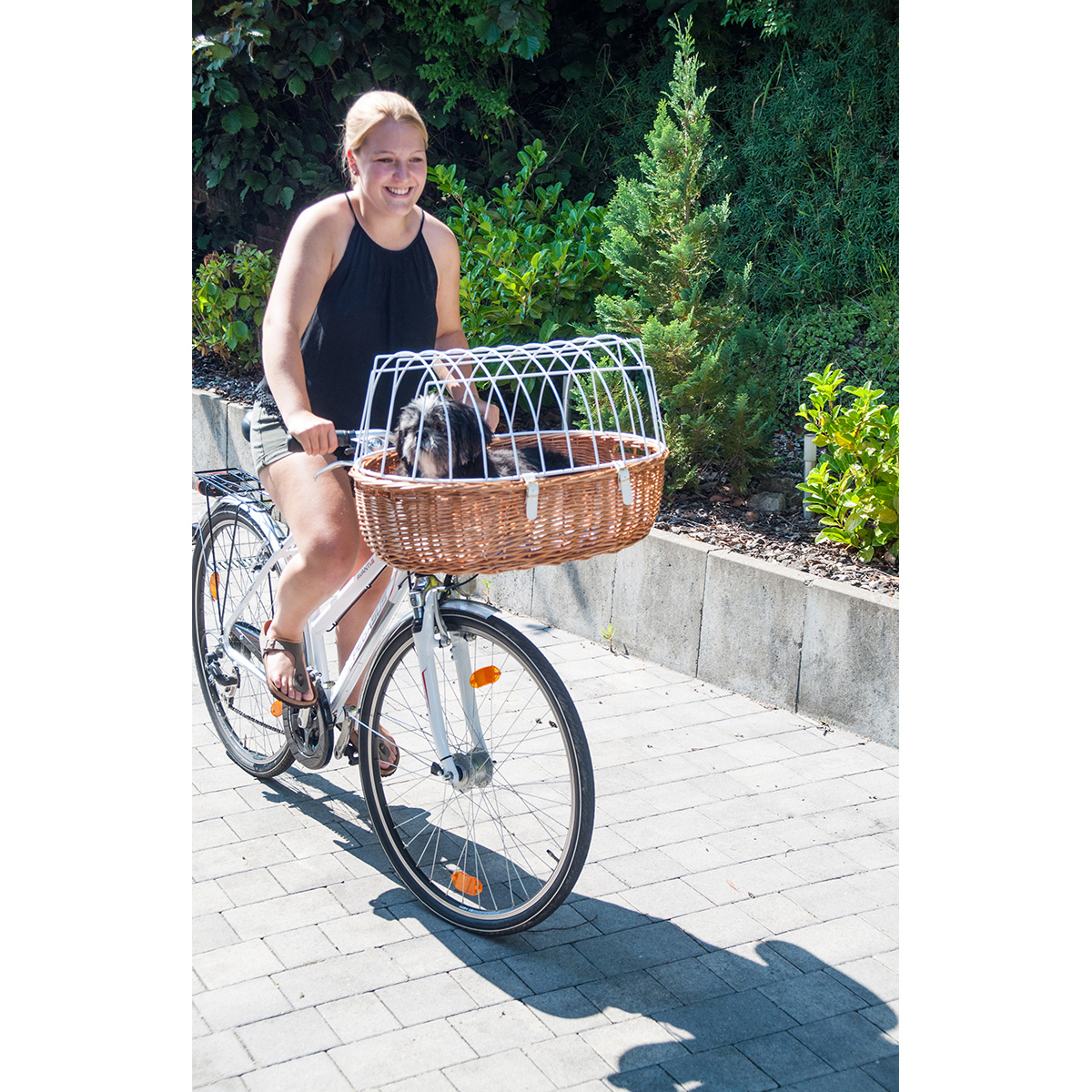 Aumüller Fahrrad-Tierkorb E-Bike fähig kaufen