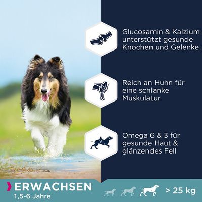 Eukanuba Grain Free Adult Large Breed Huhn