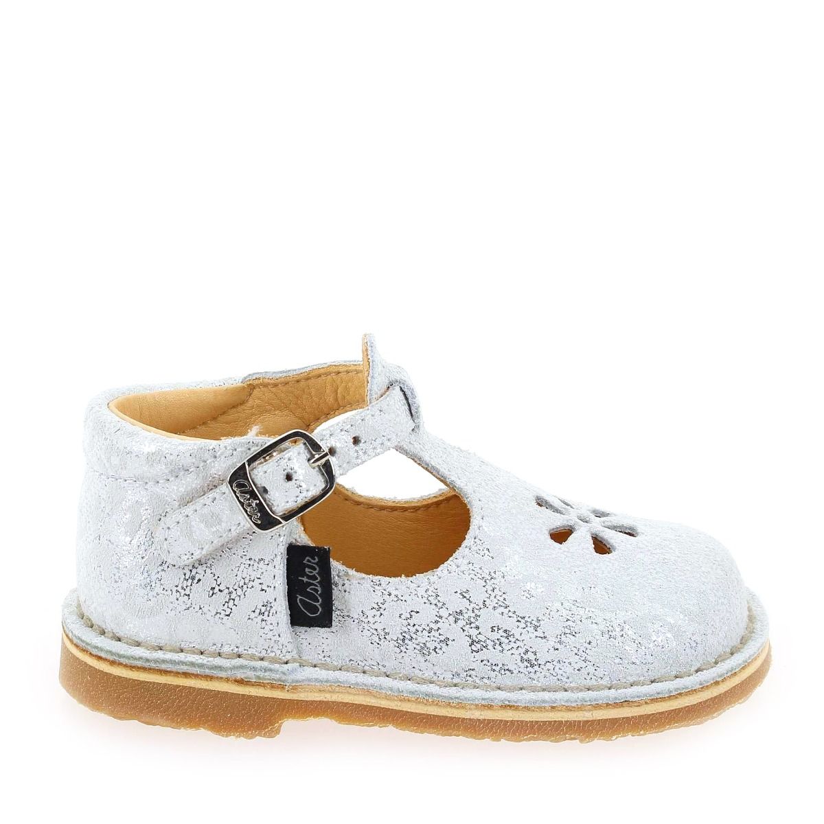 Aster  BIMBO 2 - Blanc