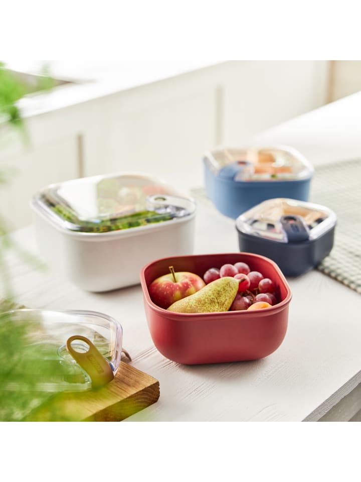 Rotho 3er- Set Lunchboxenset ELA in Rot & Rosa & Weiss günstig kaufen onesize