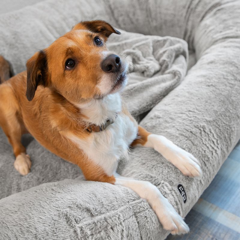 TIAKI XL Komfort Hundebett zu TOP-Preisen