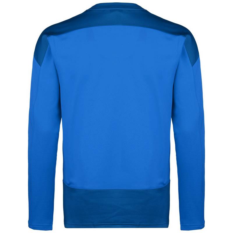 PUMA teamGOAL 23 Funktionssweatshirt Herren