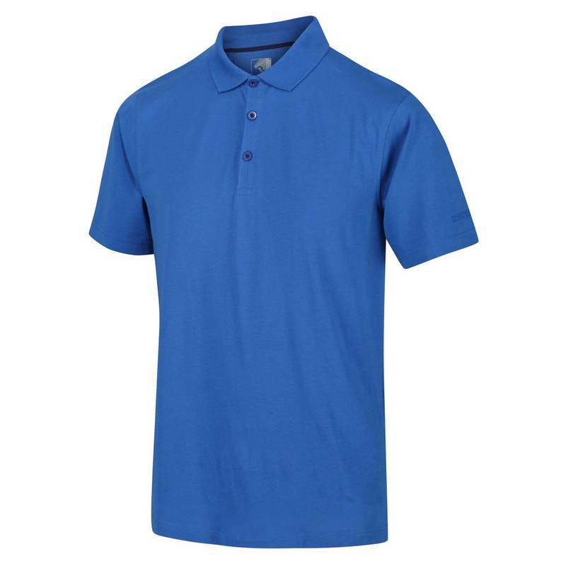 Regatta Sinton Poloshirt Herren