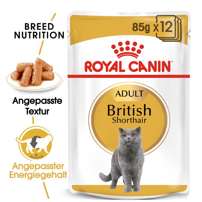 Royal Canin British Shorthair Adult in Soße