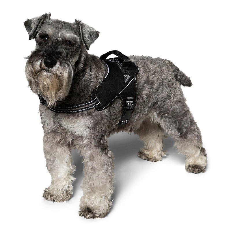 Zoozaker Hundesele 35 cm, m/håndtak