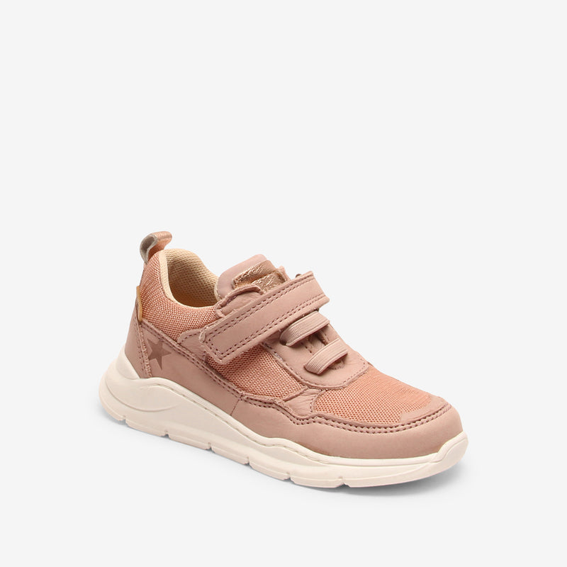pan e tex rose - Rose