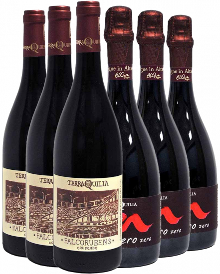 Lambrusco Grasparossa Kennenlern-Paket - Terraquilia