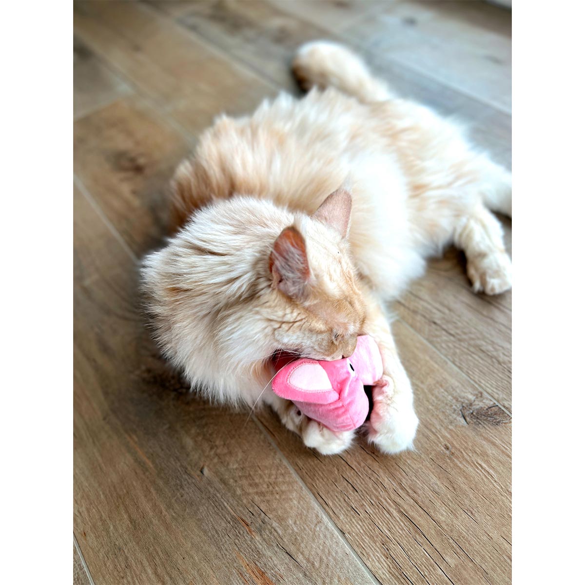 Aumüller Katzenspielkissen Schweinchen Peggy kaufen