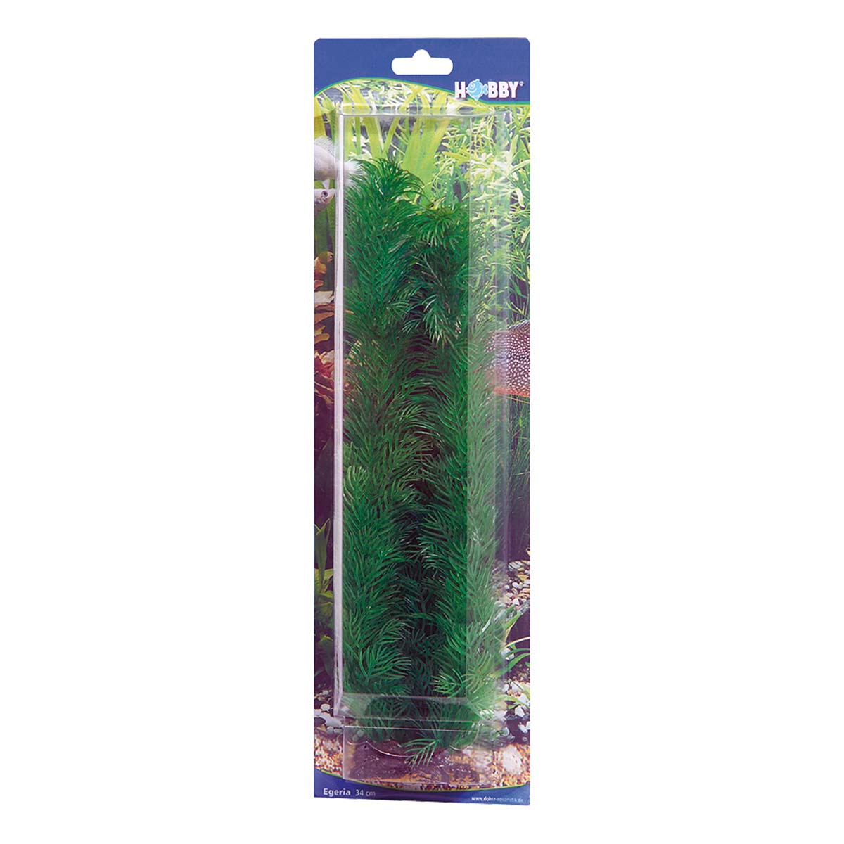 Hobby Aquariumdekoration Egeria günstig kaufen