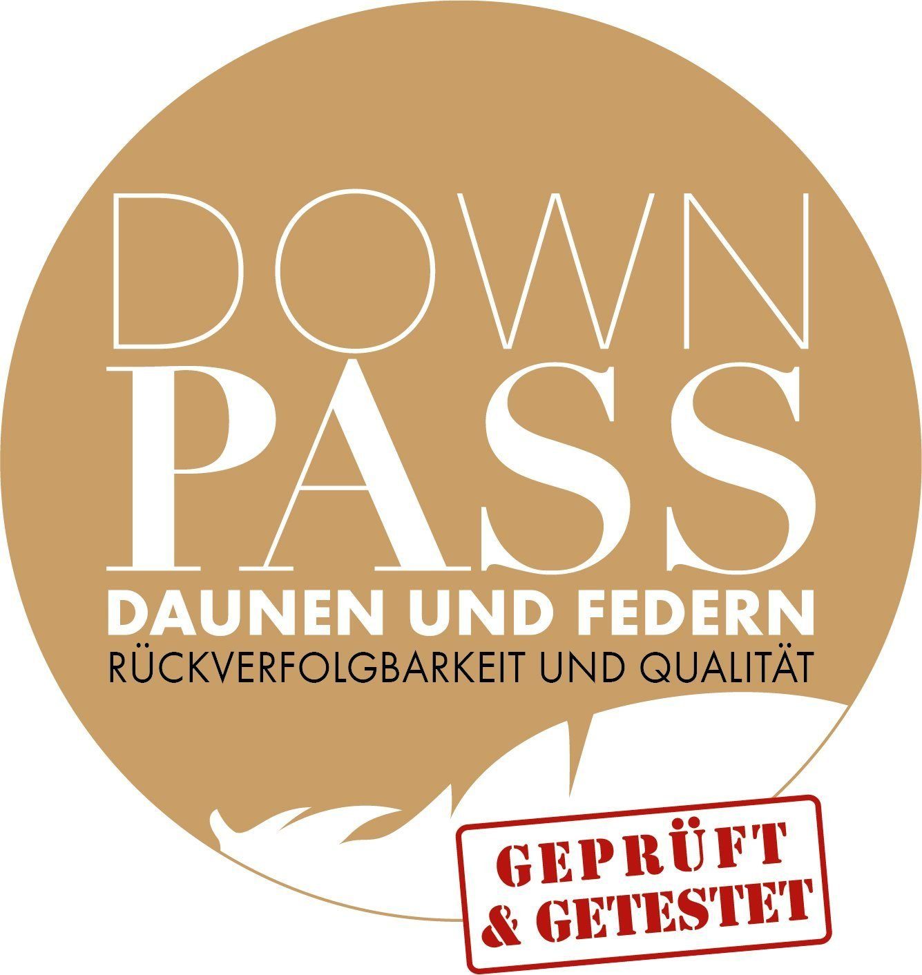 3-Kammer-Kopfkissen Stützkissen Theo mit Viscoschaum, Irisette Sale, Füllung: Außenhülle: 50% Daunen und 50% Federn, Klasse 1 - DIN EN 12934, Bezug: hautfreundlich, Seitenschläfer, Bauchschläfer, Rückenschläfer, körpergerechte Lagerung mit Kuschelfak