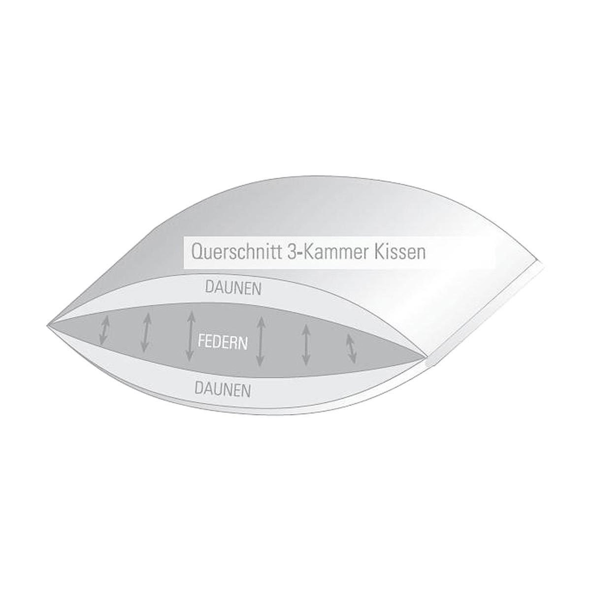 3-Kammer-Kopfkissen Exclusiv, BETTWARENSHOP, Füllung: Bezug: 100% Baumwolle, Füllung: Außen 100% Daunen, Kern 100% Federn