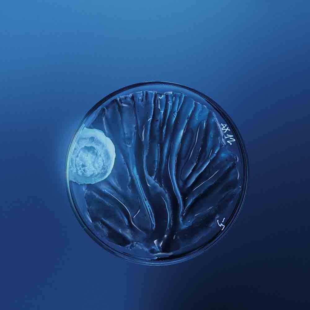 Biotherm Homme Force Supreme Black Mask - Nachtcreme