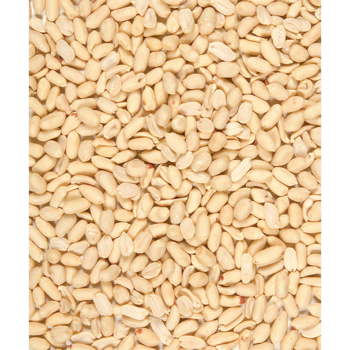 Versele Laga Menu Nature Peeled Peanuts 1kg kaufen