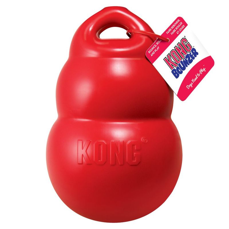 KONG Bounzer Hundespielzeug zu TOP-Preisen