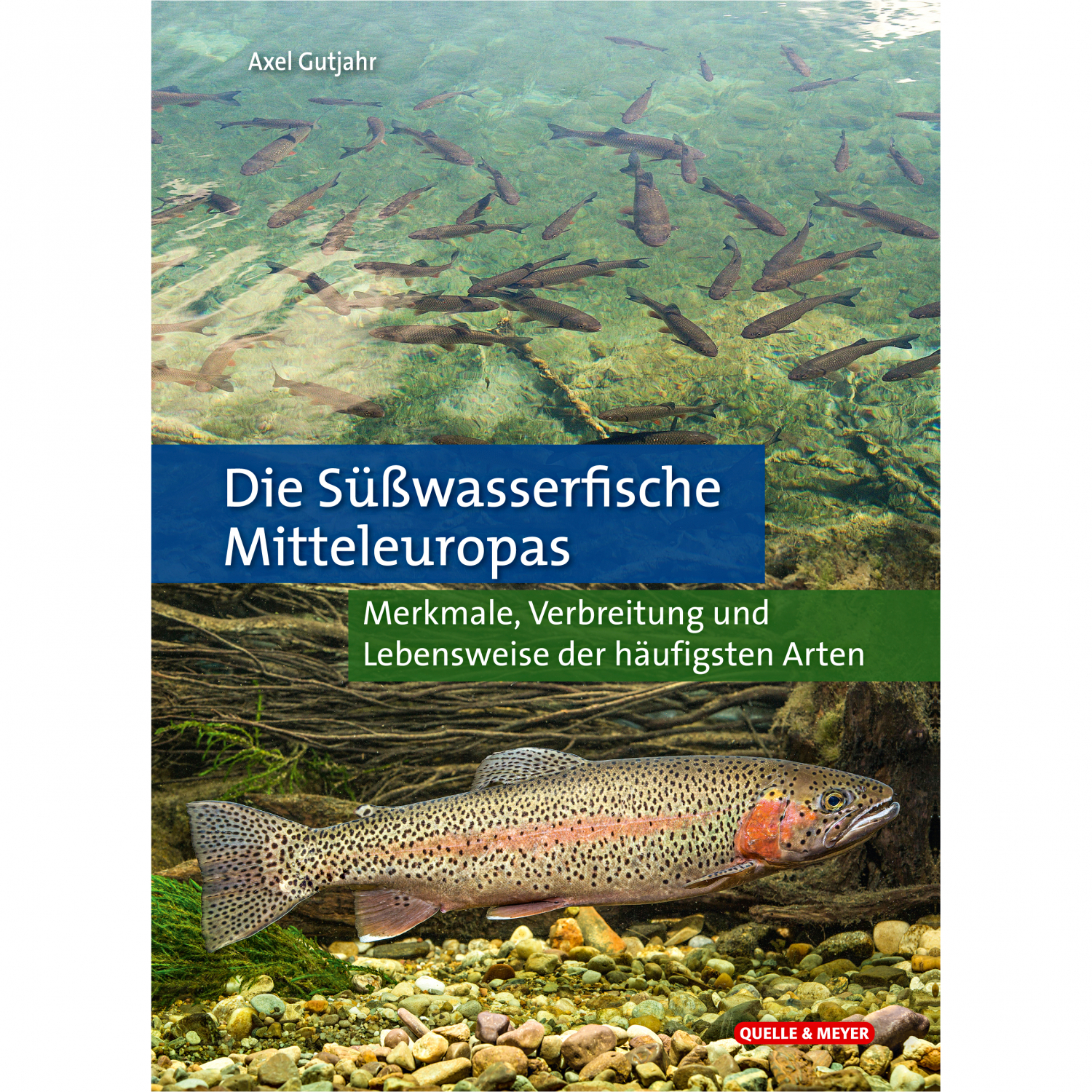 Buch: Die Süöwasserfische Mitteleuropas von Axel Gutjahr