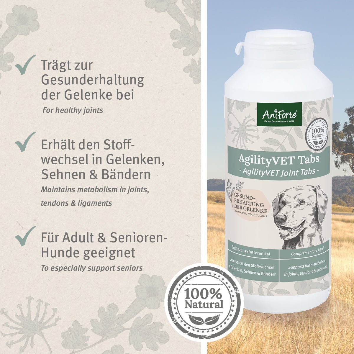 Aniforte Ergänzungsfutter & Aufzucht Aniforte AgilityVET Gelenktabletten 300 Stück